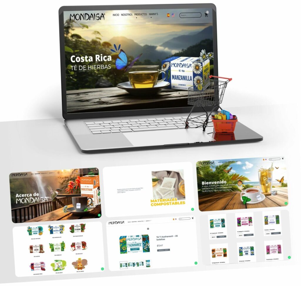 desarrollo-web-en-Costa Rica